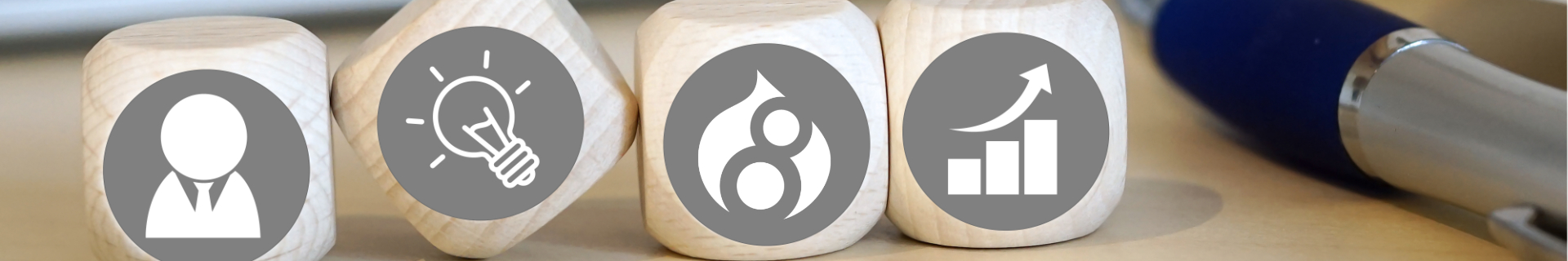 Drupal Projekte